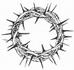 Crown of thorns